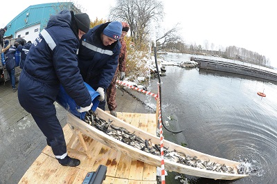 Белоярская АЭС в 2021 году вложила в охрану окружающей среды около 250 миллионов рублей