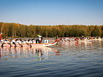 Более 140 российских спортсменов приняли участие в Открытом первенстве Смоленской АЭС по гребле на лодках «Дракон»