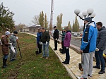 Ростовская АЭС: молодые атомщики и ветераны атомной станции провели экологический субботник