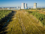 Ленинградская АЭС: энергоблок №5 отключен от сети для проведения краткосрочного ремонта