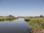 За три года Ростовская АЭС выпустила в реку Дон свыше 66 миллионов мальков леща и сазана