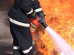Команда Балаковской АЭС одержала победу в соревнованиях добровольных пожарных формирований Концерна «Росэнергоатом»