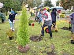Балтийская АЭС: более 100 саженцев декоративных растений высадили атомщики Немана  в рамках акции «Зеленый город»