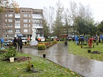 Балтийская АЭС: более 100 саженцев декоративных растений высадили атомщики Немана  в рамках акции «Зеленый город»