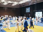 Почти 350 спортсменов из России и других стран выступили на Международном турнире по дзюдо в Сосновом Бору 