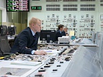 Проект продления срока эксплуатации энергоблока БН-600 Белоярской АЭС поступил на экспертизу в Росатом