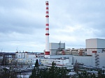 Leningrad NPP has reached the annual target for the isotope production and provided the state defense order for doped silicon
