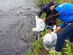 Кольская АЭС: 15 тысяч мальков сёмги выпущено в водоемы Мурманской области специалистами Кольской АЭС по природоохранной деятельности 