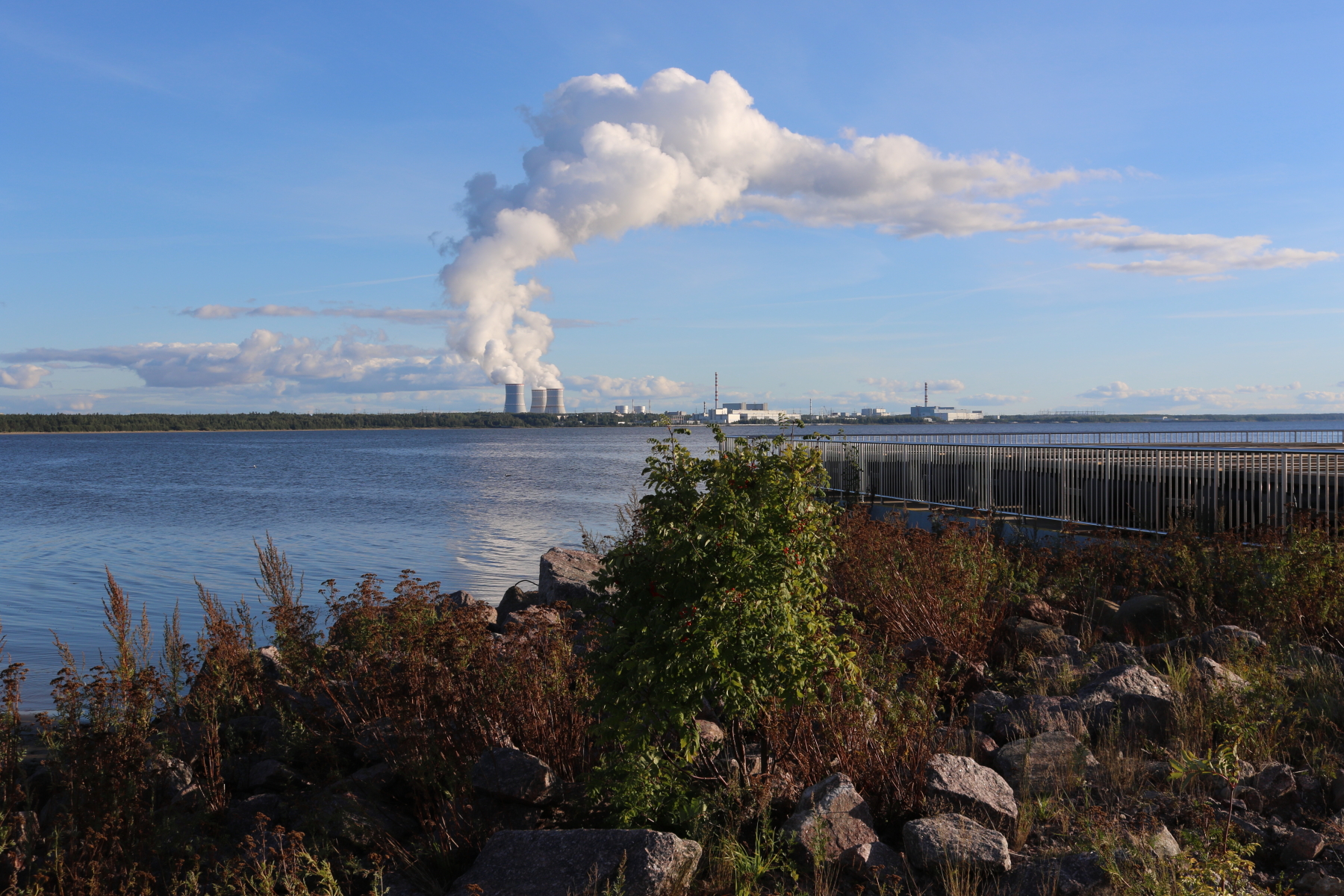 Энергоблок №5 Ленинградской АЭС выведен на 100% мощности после окончания краткосрочного ремонта