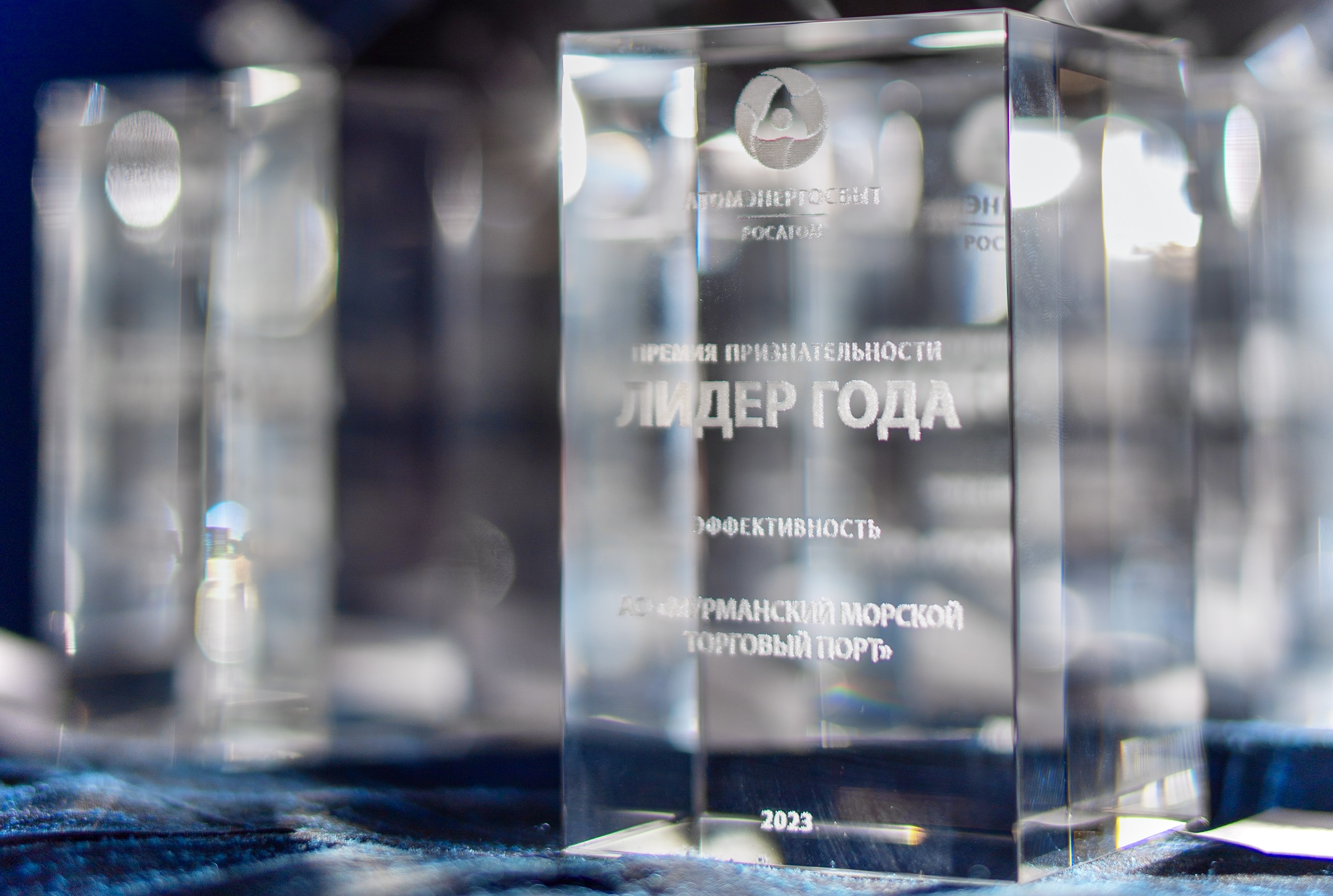 В Мурманске АтомЭнергоСбыт вручил партнерам премию признательности «Лидер года-2023» 