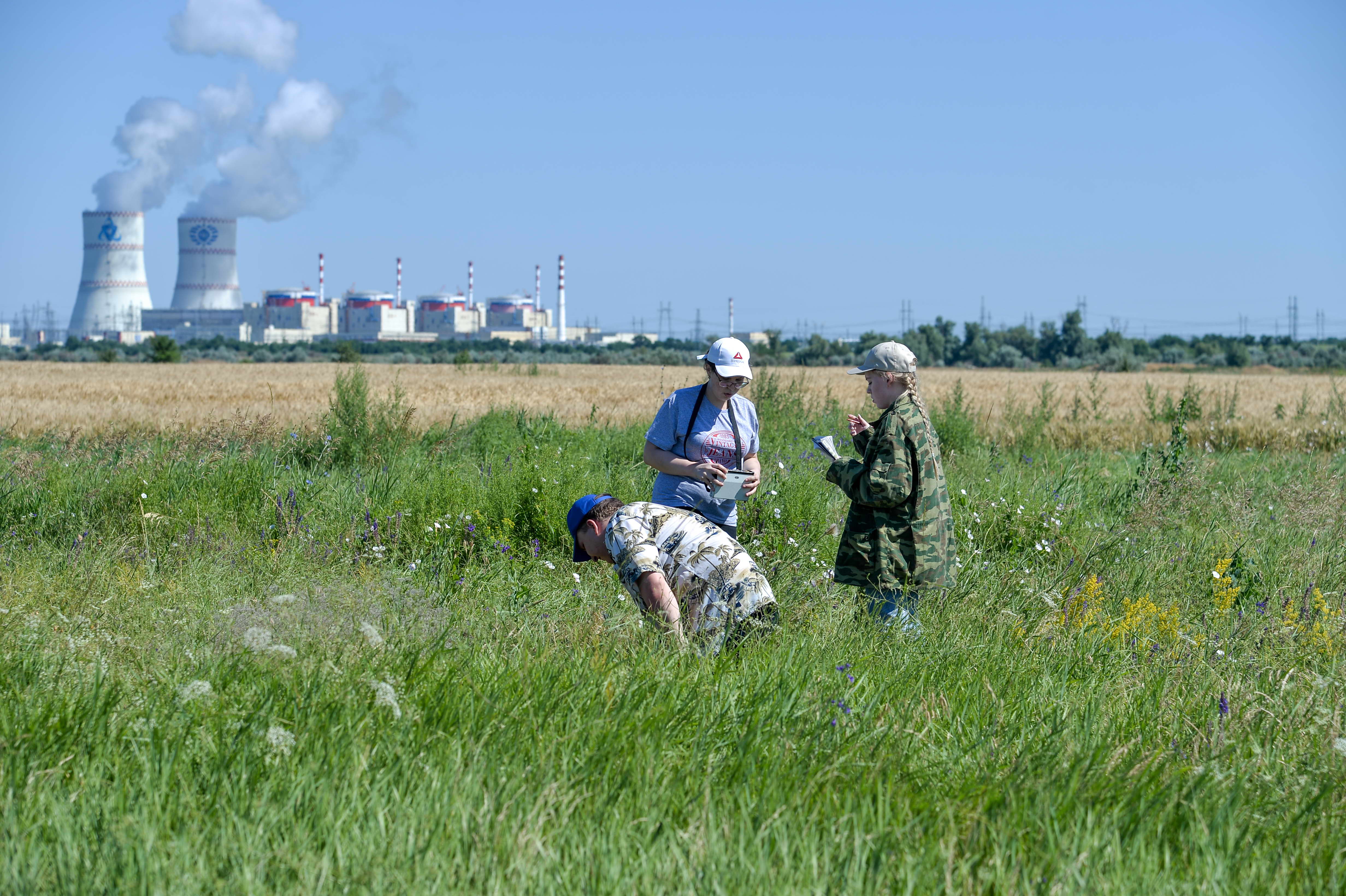 Ученые и студенты Южного Федерального университета отобрали более пятисот проб воздуха, почвы и растительности в регионе расположения Ростовской АЭС
