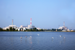 Курская АЭС: 31 марта энергоблок №2 будет отключен от сети для проведения планового текущего ремонта