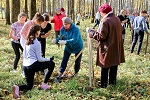 Смоленская АЭС: по инициативе атомщиков в Десногорске высадили еловую рощу из 150 деревьев