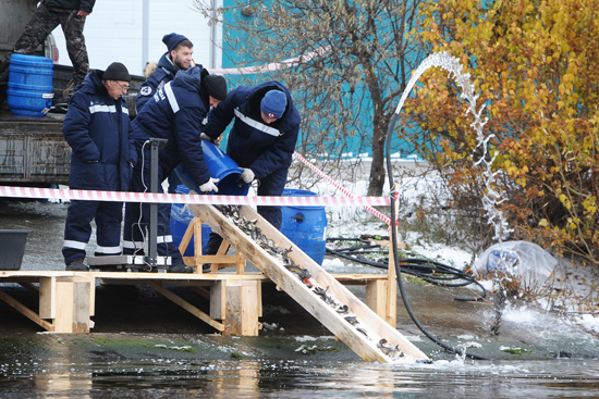 Белоярская АЭС: атомщики выпустили в Белоярское водохранилище 15 тысяч мальков пестрого толстолобика