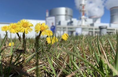Ленинградская АЭС: энергоблок №6 выведен в плановый текущий ремонт