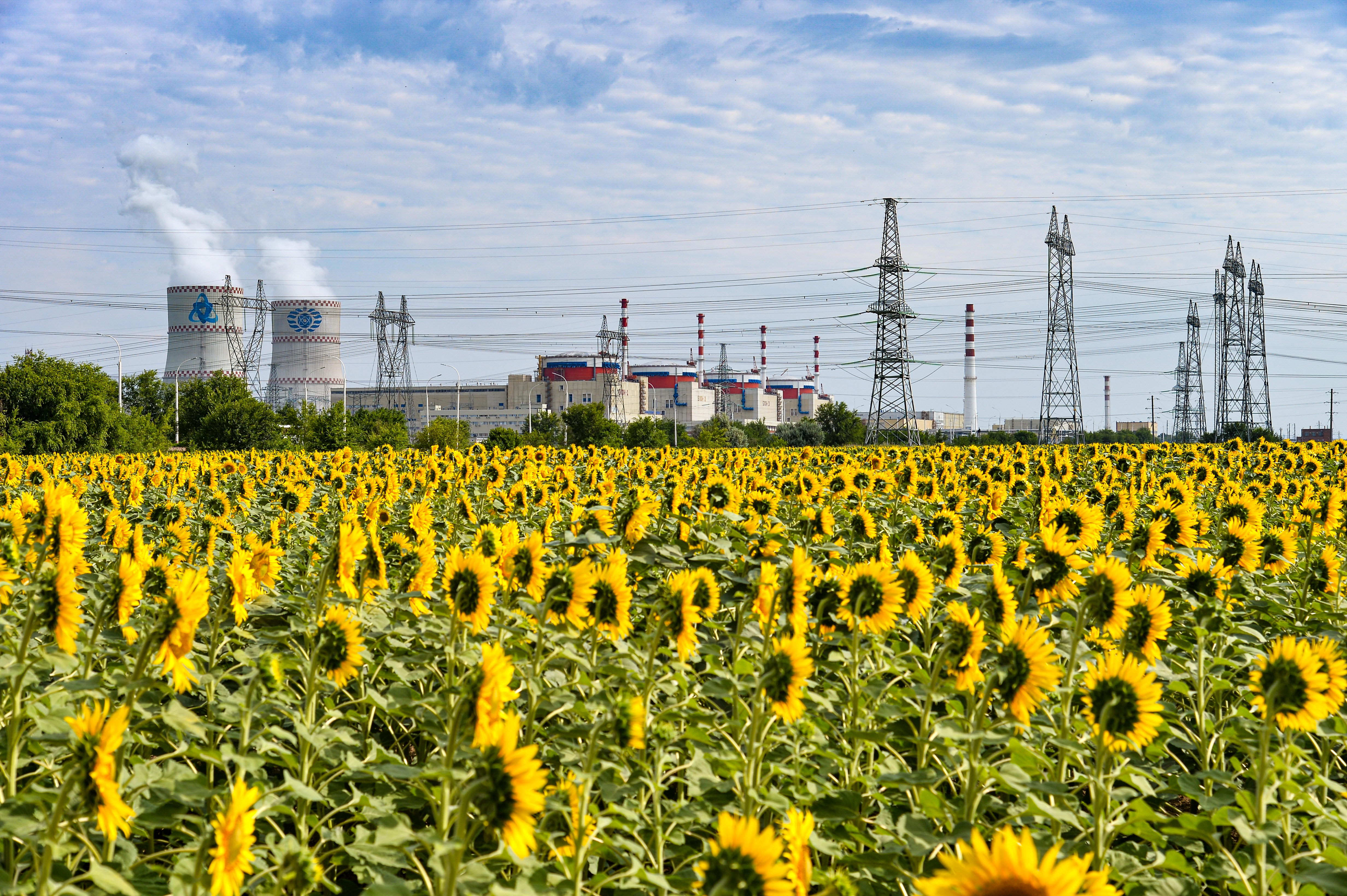Все энергоблоки Ростовской АЭС работают штатно, в соответствии с диспетчерским заданием