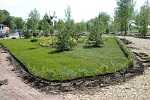 4000 деревьев и кустарников высадит Балаковская АЭС в новом городском ландшафтном парке