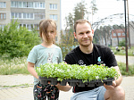 Белоярская АЭС украсила клумбы г. Заречного дестками тысяч цветов в рамках экоакции «Цветущий атомград»