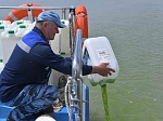 Ростовская АЭС впервые провела экологическую реабилитацию реки Дон от размножения сине-зелёных водорослей