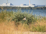 Свыше 400 млн рублей направила Курская АЭС на мероприятия по охране окружающей среды в 2022 году