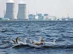 Более 440  млн рублей направила Калининская АЭС на реализацию экологической политики в 2019 году