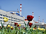 Более 80 процентов жителей региона расположения Ростовской АЭС  одобряют использование атомной энергетики 