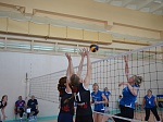 Курская АЭС в 21-й раз приняла турнир по волейболу на призы Концерна «Росэнергоатом»