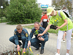 Белоярская АЭС украсила клумбы г. Заречного дестками тысяч цветов в рамках экоакции «Цветущий атомград»