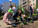 Белоярская АЭС подарила городу Заречному 30 000 цветов