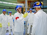 Смоленская АЭС впервые в истории начала производство промышленного радиоизотопа кобальта Со-60