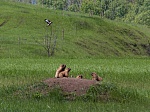 Нововоронежская АЭС: три школьника из Нововоронежа стали победителями V Международного конкурса детских фотографий «В объятиях природы»