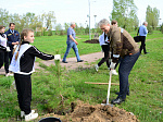 Более 200 деревьев высадила Балаковская АЭС за три года в рамках акции «Сад Памяти» 
