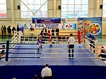 При поддержке Балаковской АЭС в г. Балаково прошли Открытый чемпионат и первенство по боксу памяти И.К. Трухляева