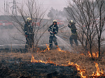 Лесопожарная команда Нововоронежской АЭС успешно отработала навыки в ходе плановых противопожарных учений